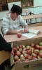Dzień Marchewki i Jabłka w naszej szkole 2015