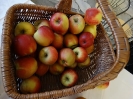 Święto Jabłka i Marchewki w internacie