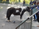 WYCIECZKA PRZYRODNICZA DO ZOO W POZNANIU